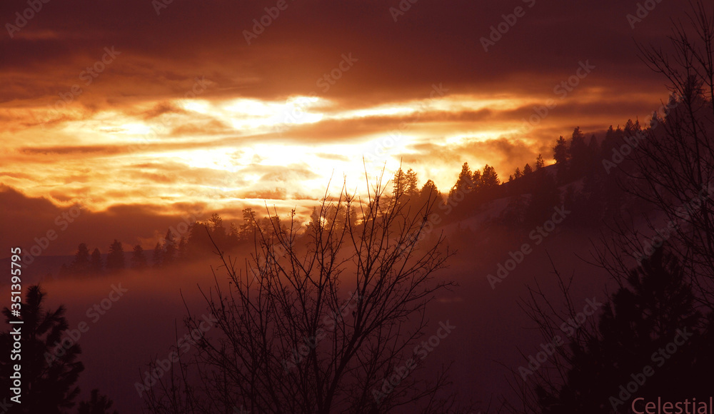 Fototapeta premium Sunset