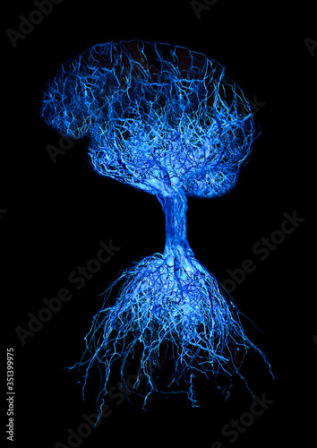 Concept human brain with blue glowing connection made from roots of tree on black background.