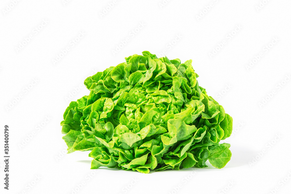 Green lettuce leaves isolated on white background Green lettuce leaves isolated on white background