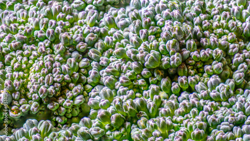 Macro of a head of brocholli.