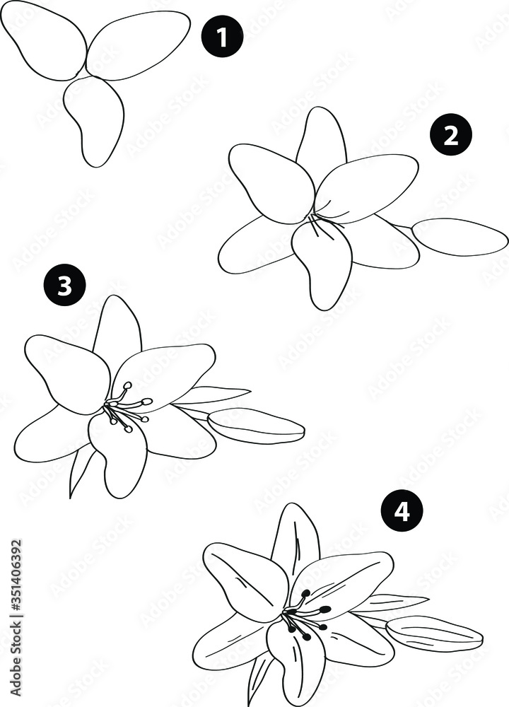 Drawing learn step by step tutorial techniques plants set with vegetables fruits flowers trees vegetation for kids workbook isolated background. Vector illustration flower