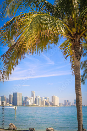 Downtown Miami Skyline Framed with Palm Trees - Biscayne Bay © Sebastian