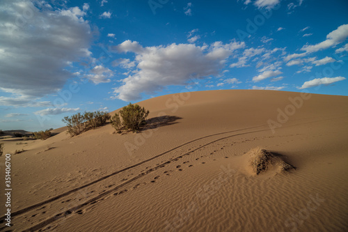 Fototapeta Naklejka Na Ścianę i Meble -  sand dunes and blue sky