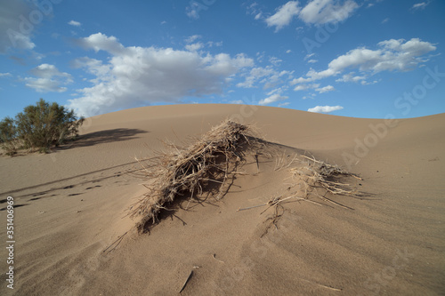 Fototapeta Naklejka Na Ścianę i Meble -  sand dunes and blue sky