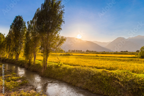 Valokuva Vista al atardecer de arrozales en Chancharay, Arequipa, Perú