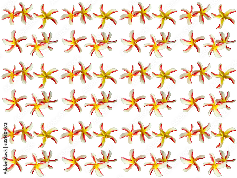 Flowers pattern texture. Floral pattern. Pattern of flowers. Flowers pattern texture. Floral pattern. Pattern of flowers.