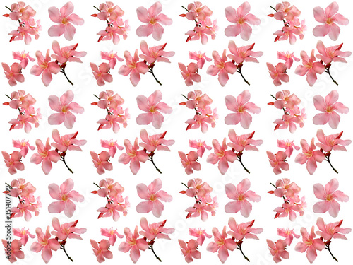 Flowers pattern texture. Floral pattern. Pattern of flowers.