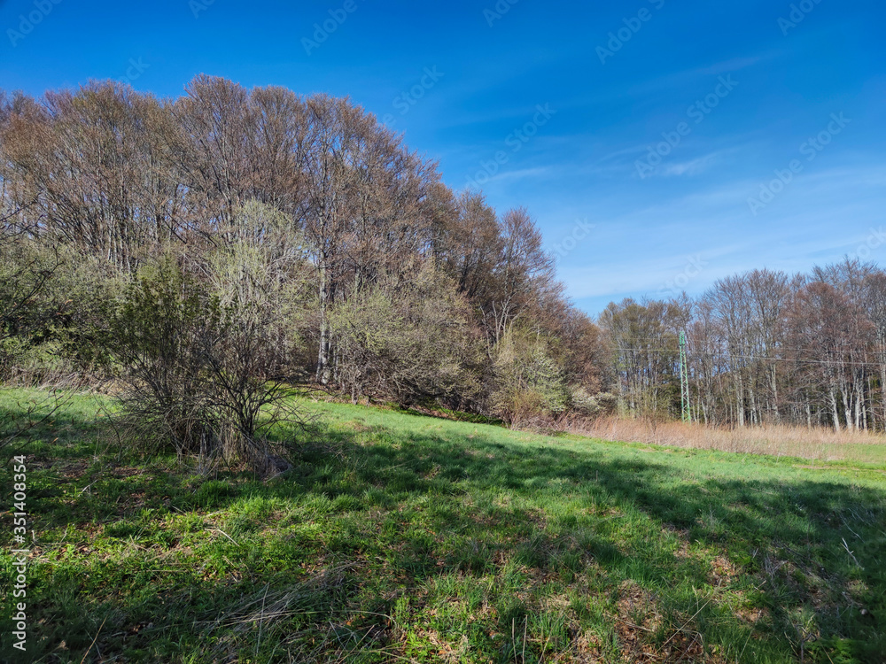 Spring landscape of Vitosha Mountain, Bulgaria