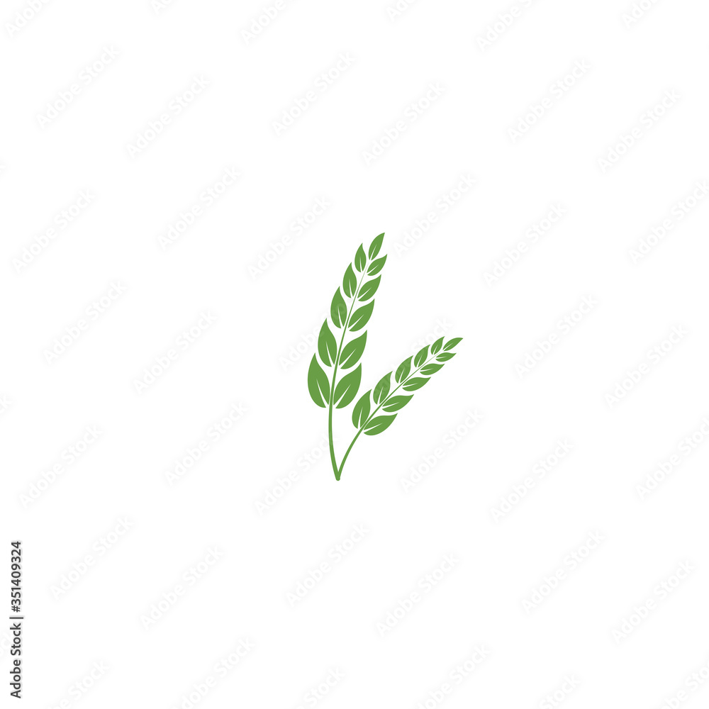 Fototapeta premium Leaf Logo Template vector symbol