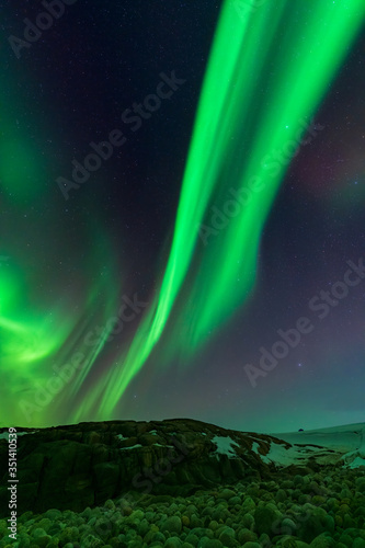 Aurora borealis, northern lights in the north of norway above snowy hills