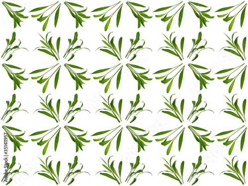 Foliage pattern. Pattern of leaves. Leaf pattern texture.