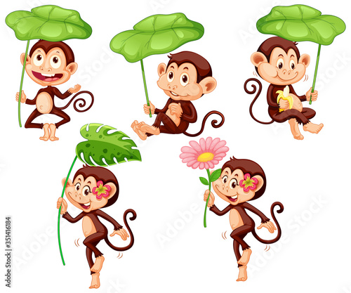 Set of cute monkey with green leaf on white background