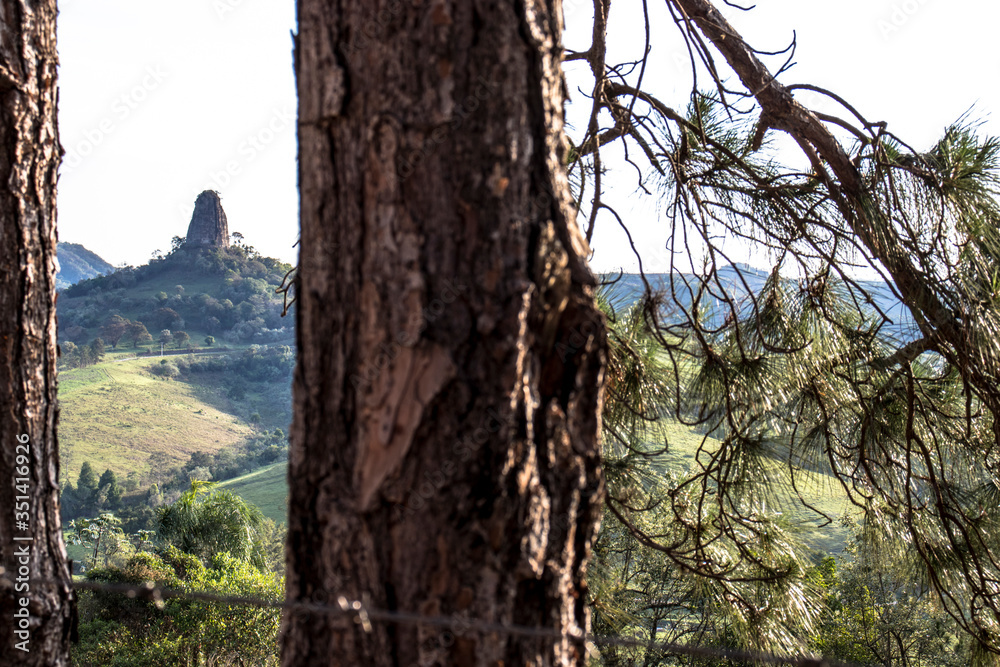 Rock formation composed of sandstone known as Stone Tower and pinus tree, in Torre de Pedra municipality, in Sao Paulo state, Brazil
