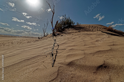 Fototapeta Naklejka Na Ścianę i Meble -  sand dunes in the desert