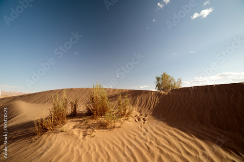 Fototapeta Naklejka Na Ścianę i Meble -  dunes in the desert
