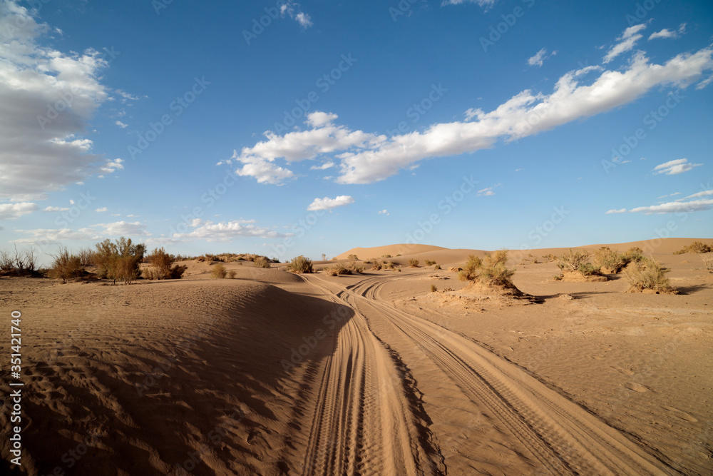 road in desert