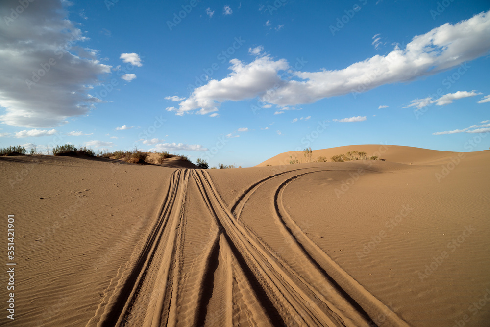 Fototapeta premium road in the desert