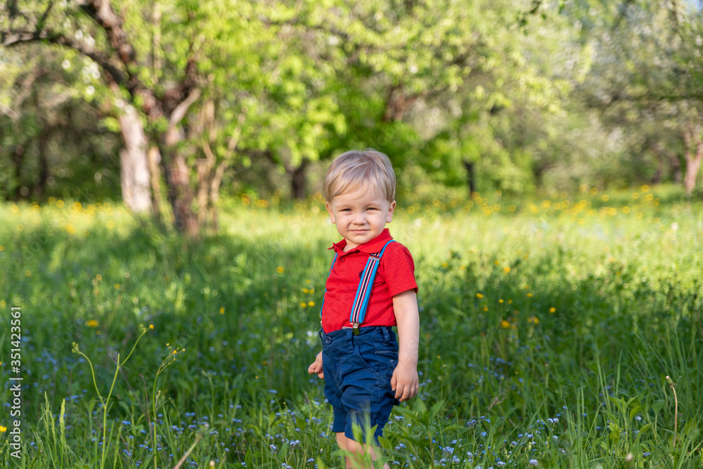 smart little boy walks in the park among the trees smart little boy walks in the park among the trees