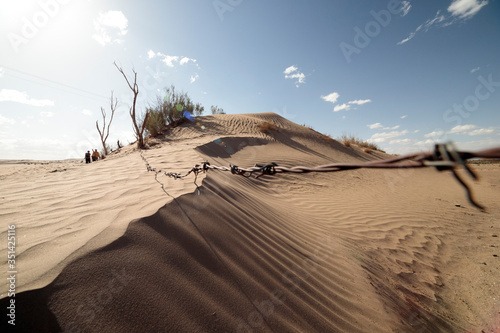 Fototapeta Naklejka Na Ścianę i Meble -  sand dunes in the desert