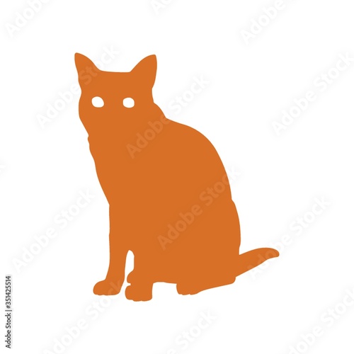 black cat