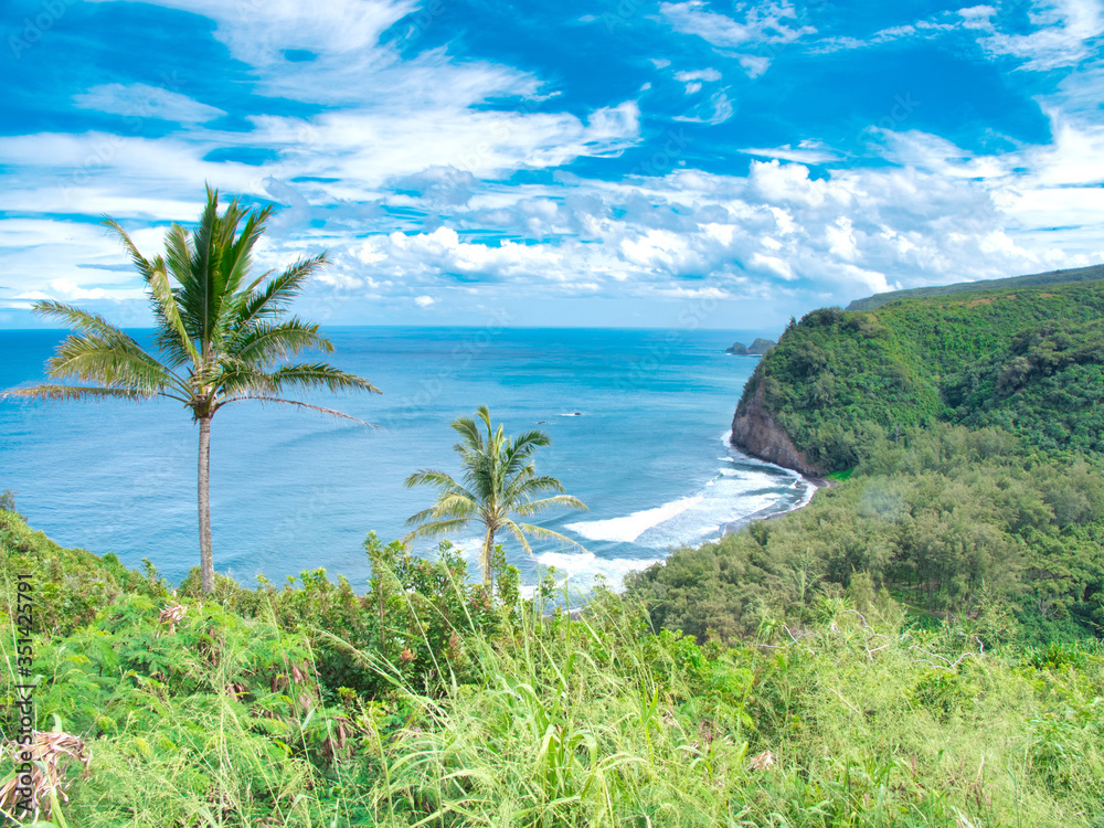 ポロル渓谷展望台からの景色　　ハワイ島　2014年撮影