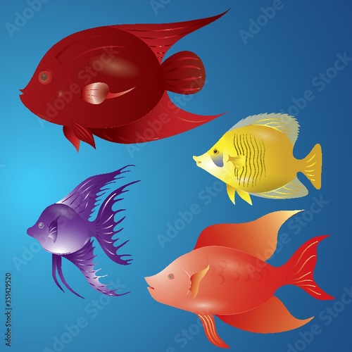 A set of fishes illustration.