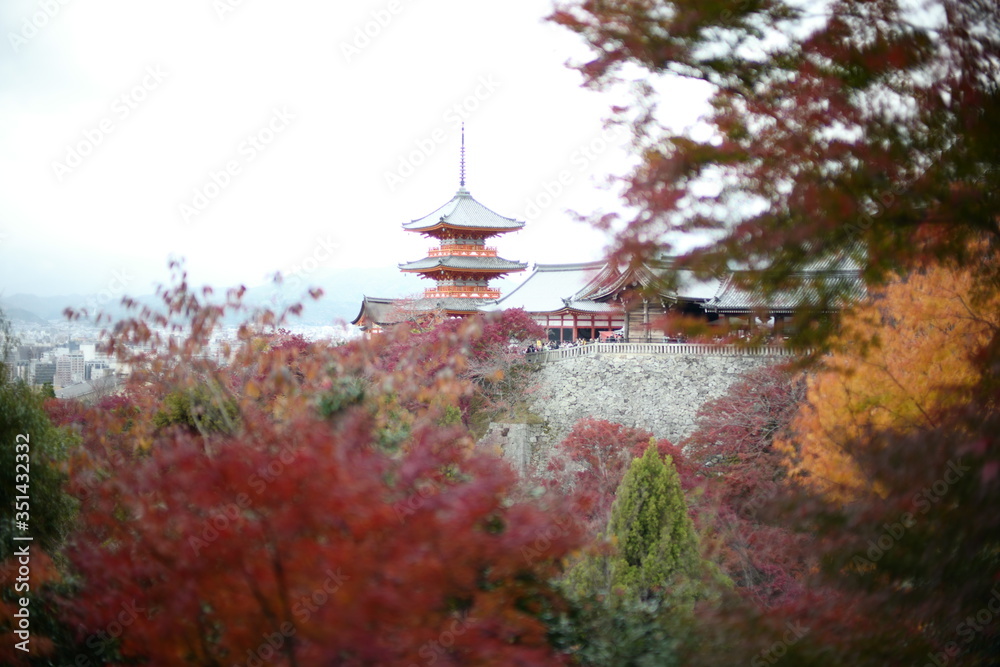 nature in Japan nature in Japan