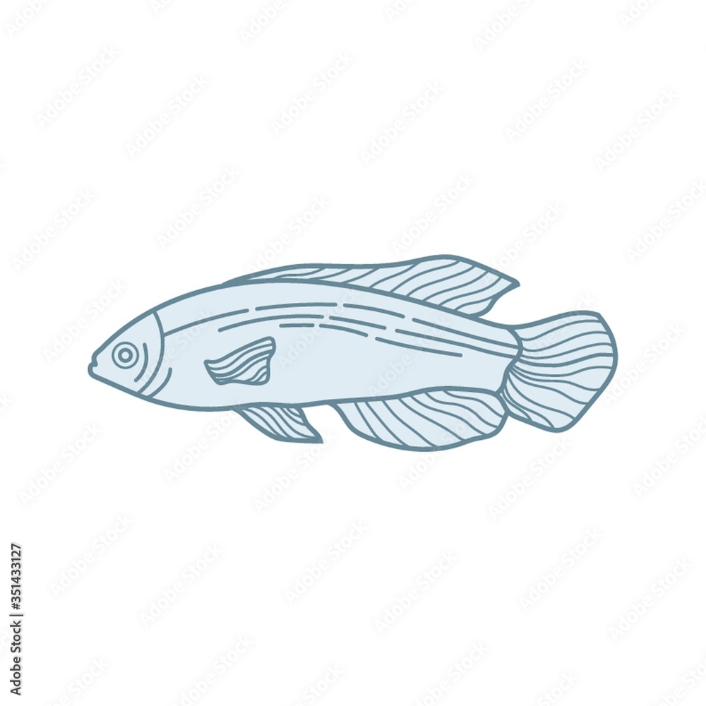 Fototapeta premium fish