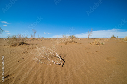 Fototapeta Naklejka Na Ścianę i Meble -  sand dunes in the desert