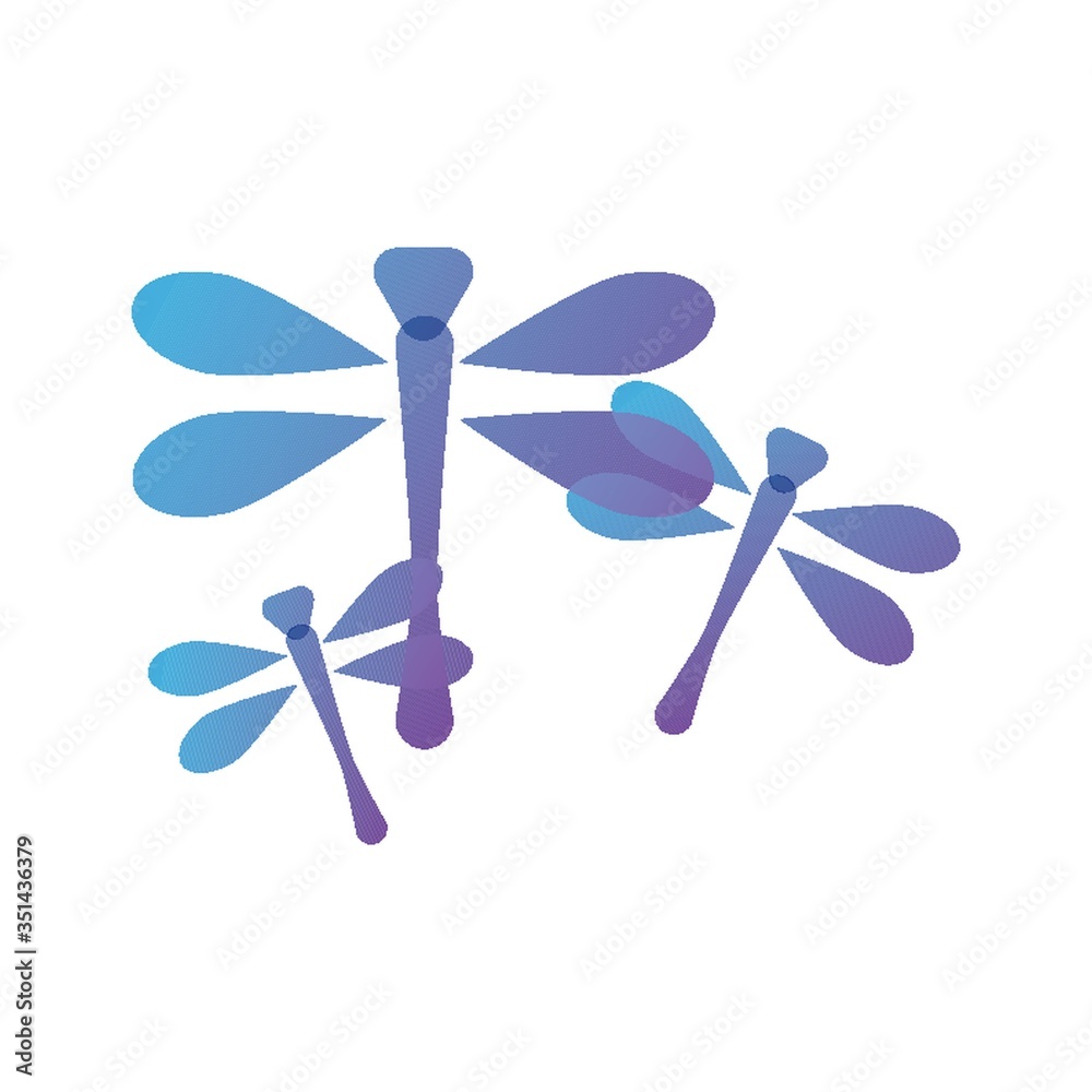 dragonfly dragonfly
