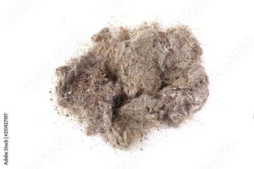 Photos lump of dust on a gray background