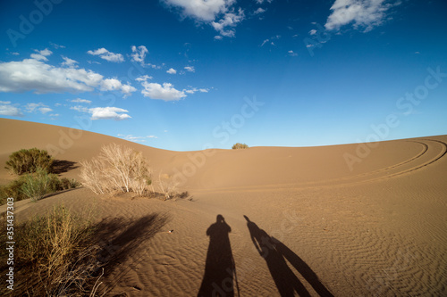 sand dunes in the desert