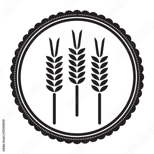 wheat grains