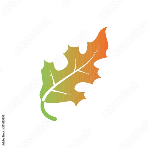 autumn leaf