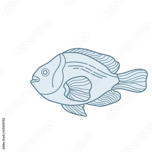 fish