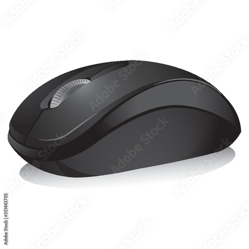 computer mouse