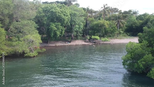 camera fly off shore with mangroves and roots in the water