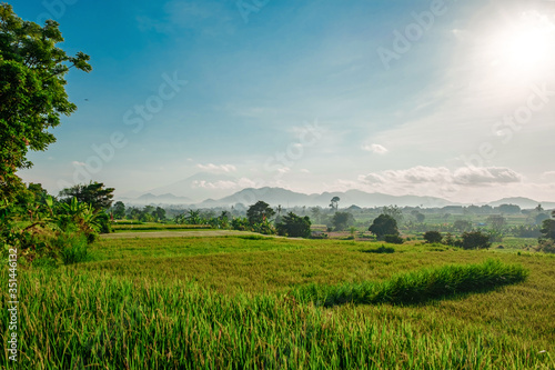 Green rice terraces against the backdrop of the Agung volcano on the island of Bali. Morning Balinese landscape. Morning rice field and volcano in a haze. © EVISUAL