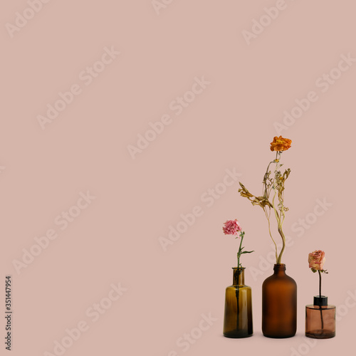 Dried flowers in brown glass vases on a pink background