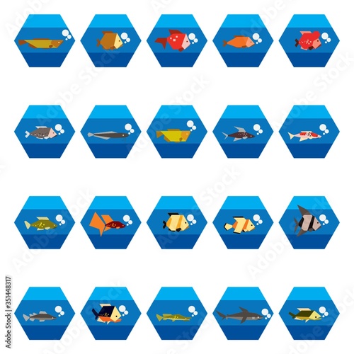 Collection of fishes