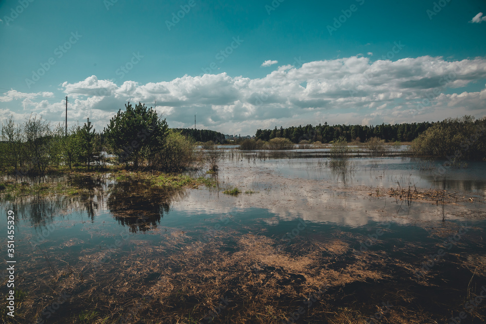 flooded water meadows in spring sunny day flooded water meadows in spring sunny day