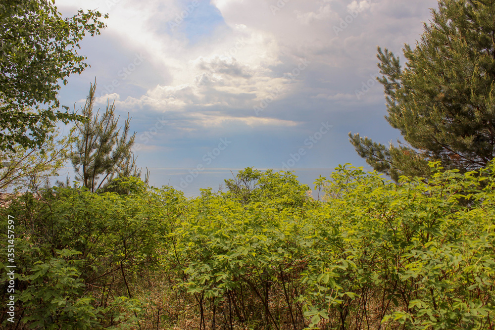 A storm spreading across the sea is captured above the lush greenery in a frame of trees. A storm spreading across the sea is captured above the lush greenery in a frame of trees.