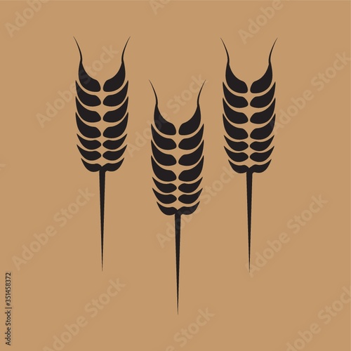 malt