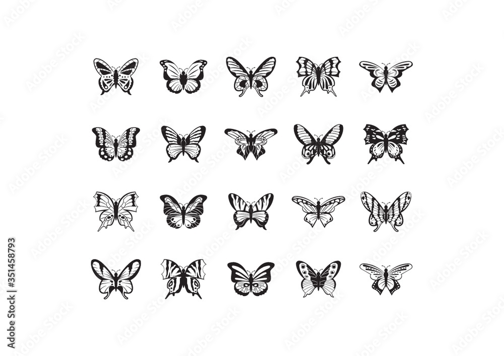 Fototapeta premium Collection of butterflies