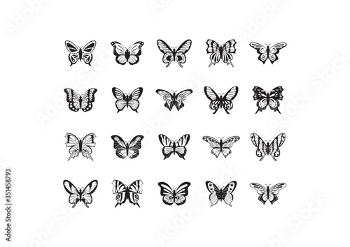 Collection of butterflies