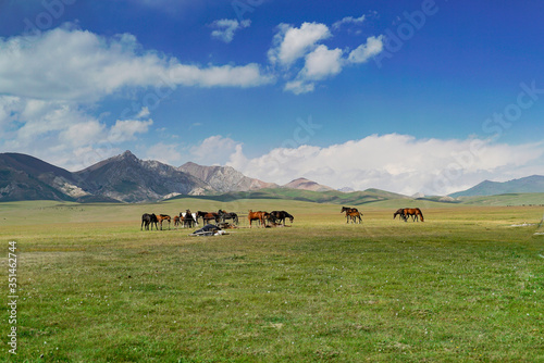 A herd of horses with beautiful mountains landscape at Song Kul Lake, Kyrgyzstan
