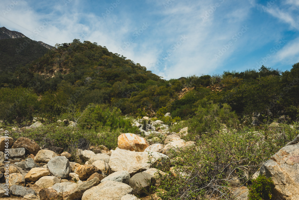 Beautiful Nature View Scene of Beautiful Nature View Scene of