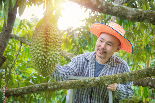 Asian male farmer looking Durian in his garden and smiles happily. Durian is a king of fruit in Thailand .