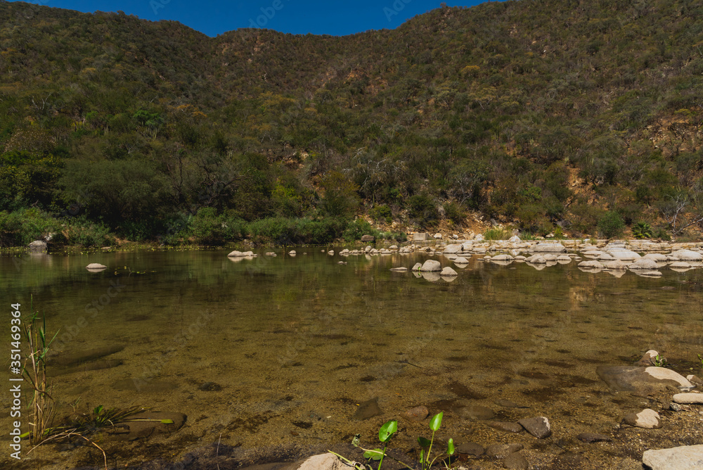 Beautiful Nature View Scene of Beautiful Nature View Scene of