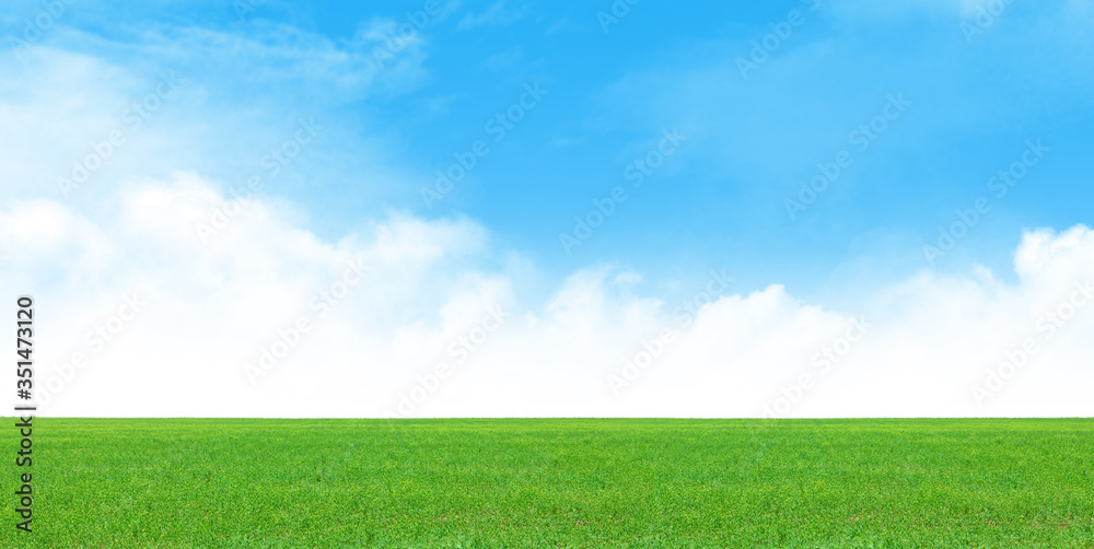Green grass field and clear blue sky Green grass field and clear blue sky